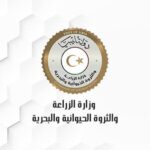 223575629_10158777424117585_1988737743753526268_n